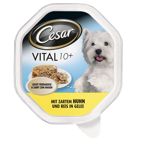 Cesar Senior 10+ Lot De 14 Bols De Nourriture Humide Pour Chien Au Poulet Tendre Et Riz 14 X 150 G