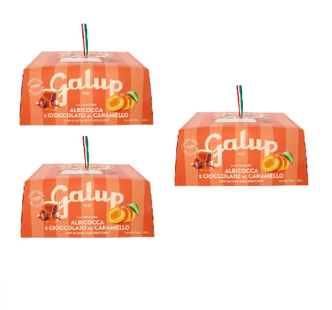 3x GALUP La Colomba albicocca e cioccolato al caramello Colomba de Pâques au chocolat abricot et caramel 750 g