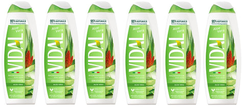 Vidal Bagnodoccia Lot De 6 Flacons De Gel Douche À L'aloe Vera 500 Ml