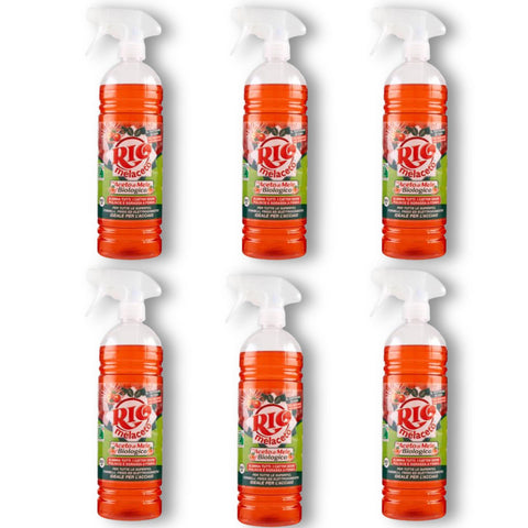 Rio Lot De 6 Vaporisateurs De Vernis 800 Ml