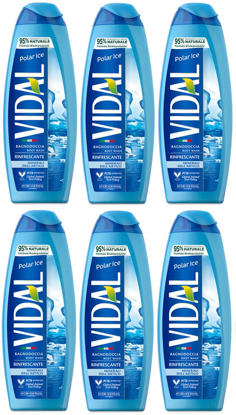 Vidal Bagnodoccia Minerali Dell'artico Lot De 6 Flacons De Gel Douche Aux Minéraux Arctiques 500 Ml