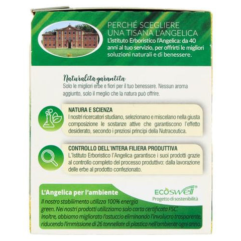10x L' Angelica Le Tisane Finocchio Triplo Active Tisane de fenouil pour soulager les ballonnements et faciliter la digestion.