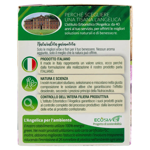 10x L'Angelica Le Tisane Giusta Regola Active Tisane à base de psyllium et d'extrait de prune pour favoriser le transit intestinal 18 filtres