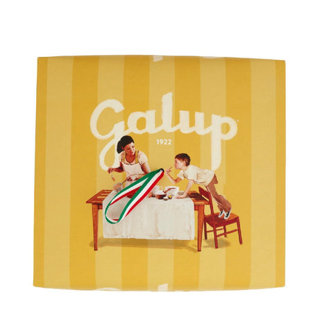 3x GALUP La Colomba Amaretto, cioccolato e pesca Colomba de Pâques à l'amaretto, au chocolat et à la pêche 750 g