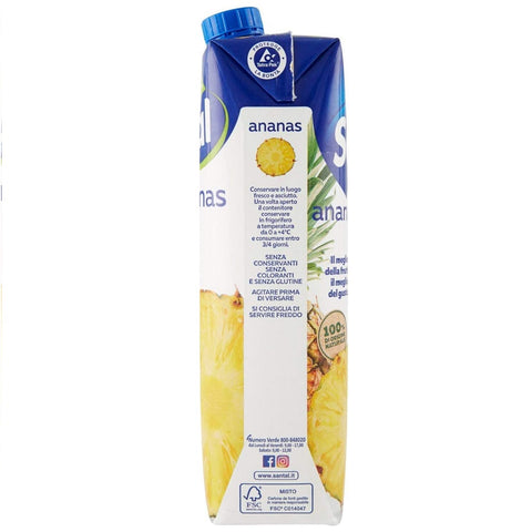 12x Parmalat Santal I Classici Succo di Frutta Jus d'Ananas 100% Naturel 1000ml
